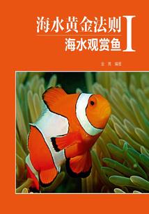 男属马女属羊婚姻合不合